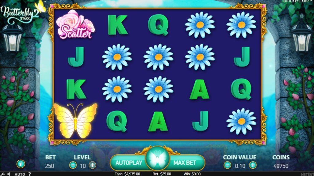 butterfly staxx 2