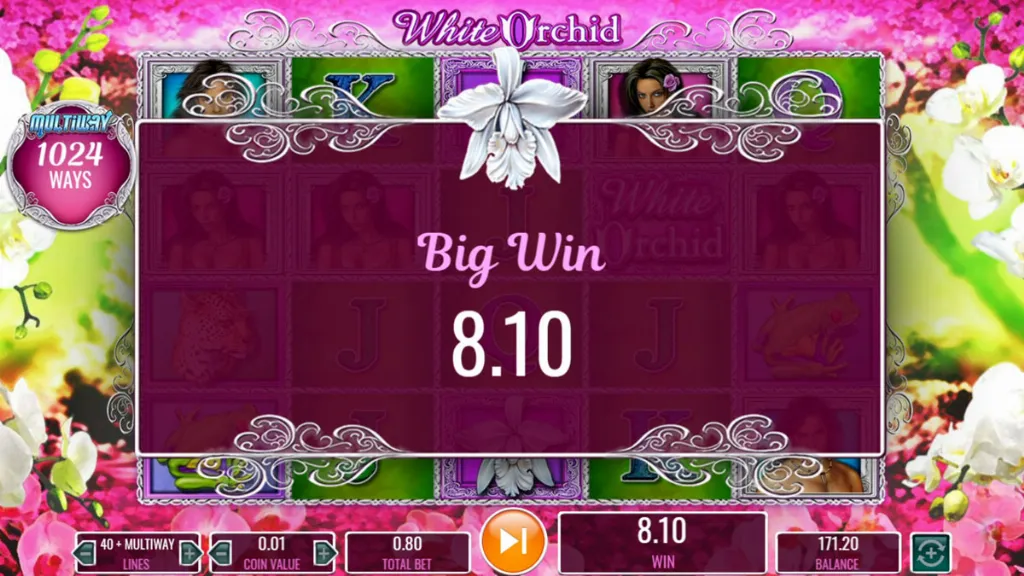 A big win screen in White Orchid with a glowing orchid emblem and the win amount displayed over the reels.