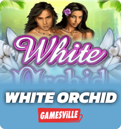 White Orchid