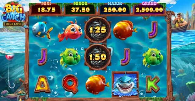 MegaFrenzy No Deposit