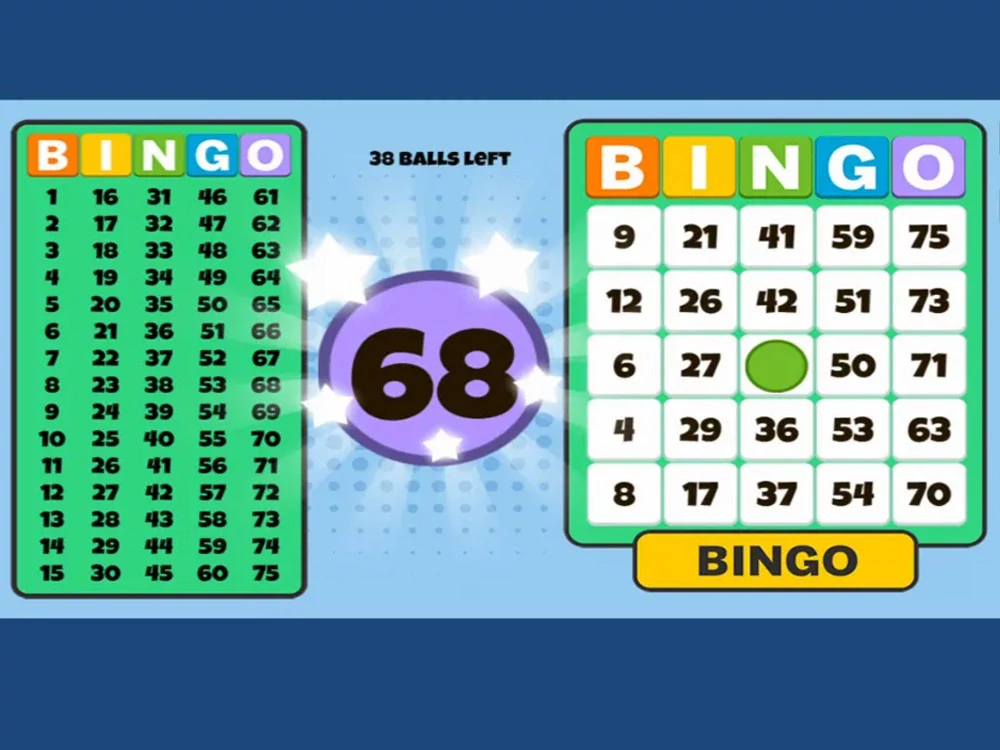 Bingo Solo