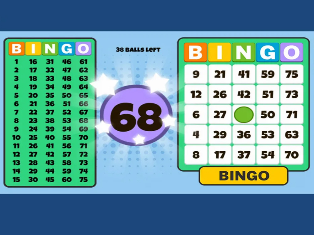 Bingo Solo