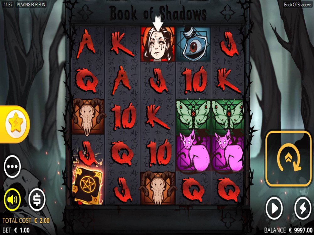 Book Of Shadows