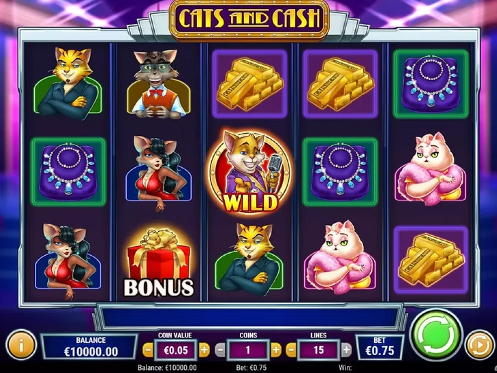Cash Cats
