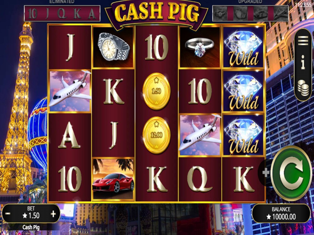 Cash Pig