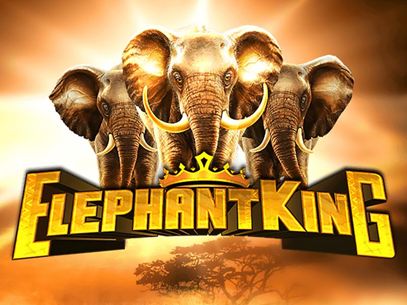 Elephant King