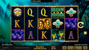 shadow of the panther during bonus
