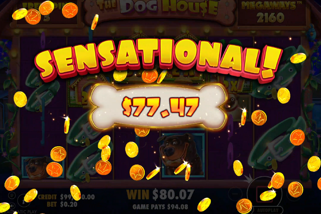 the doghouse megaways bigwin