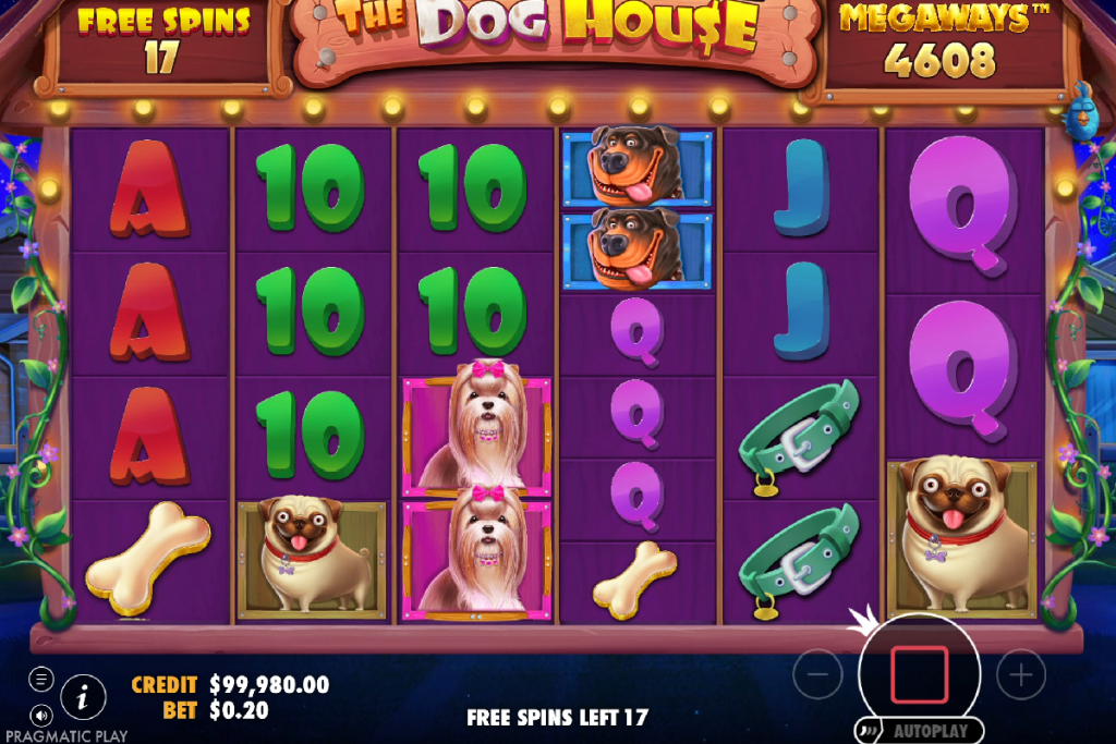 the doghouse megaway during bonus