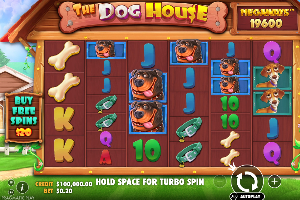 the dog house megaways normal