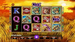 Cats free spins bonus triggered by five Paw Print scatter symbols.