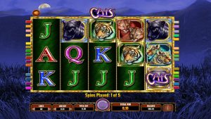 Cats free spins bonus round featuring split symbols and safari animals.