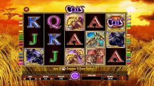 Cats base game featuring safari-themed wild cat symbols on the reels.
