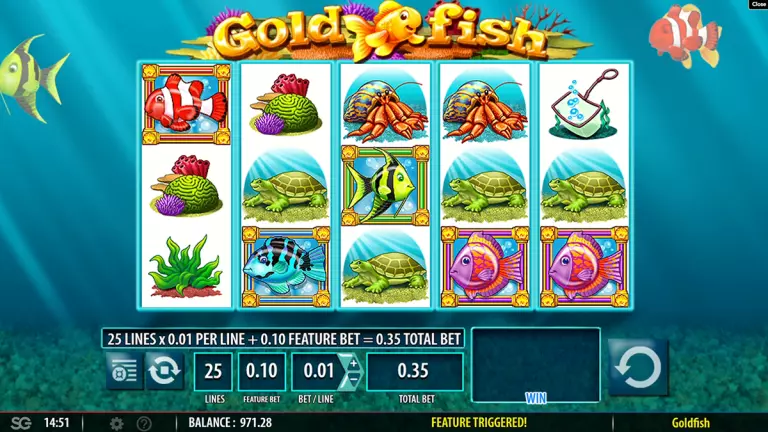 gold fish bonus trigger visible