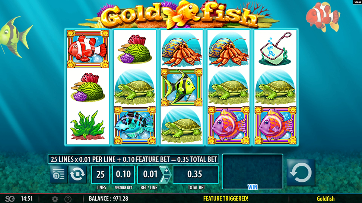 gold fish bonus trigger visible