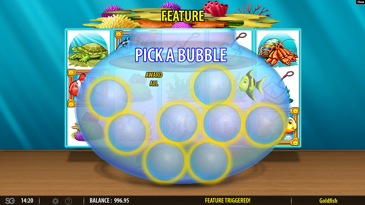 gold fish during bonus