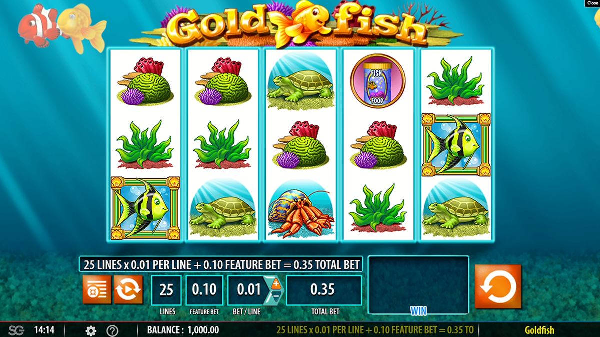 gold fish normal