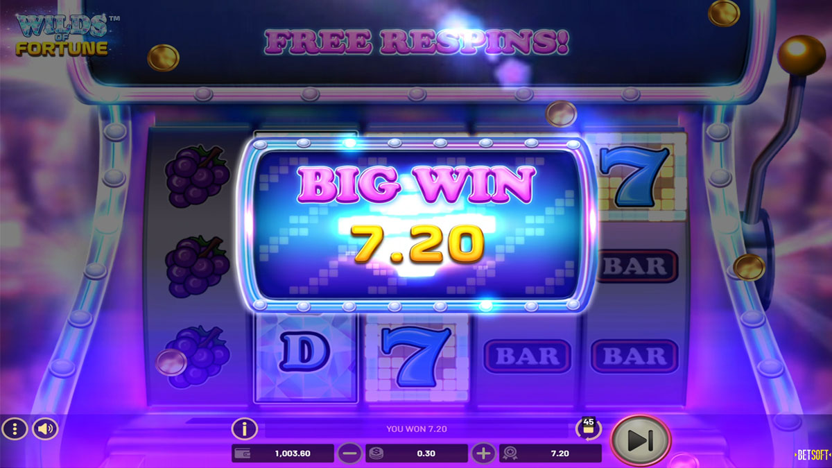 Wilds of Fortune big win