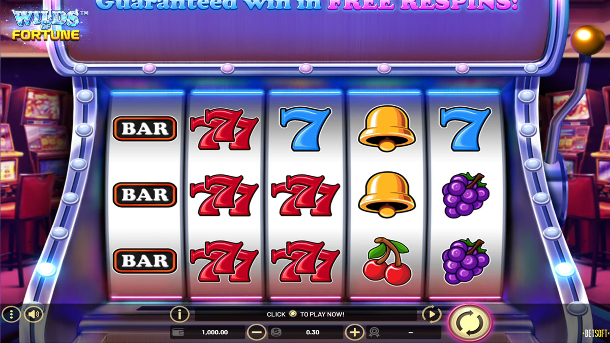 Wilds of Fortune slot game