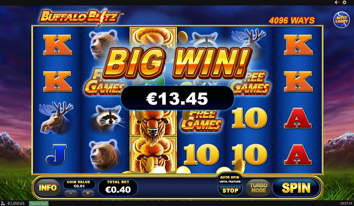 buffalo blitz big win