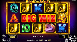 Book of Wild Big Win screen showing a large payout during the free spins feature.