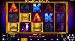 Book of Wild free spins feature active with expanding symbols during the bonus round.