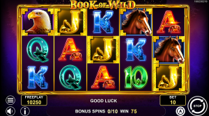 Book of Wild bonus round featuring expanding Wild symbols and winning combinations across the reels.
