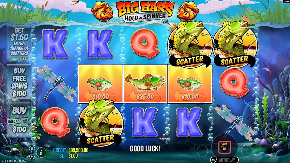 Big Bass Hold and Spinner bonus trigger