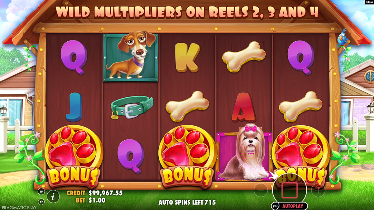 the dog house bonus trigger