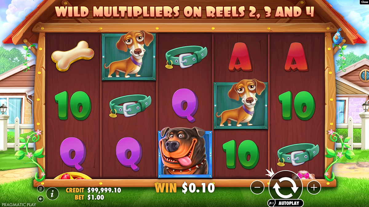 the dog house slot games