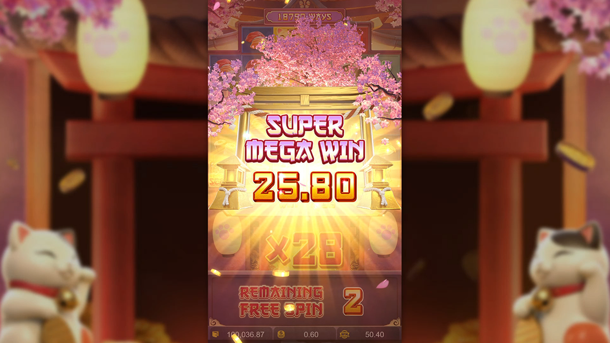 lucky neko bigwin