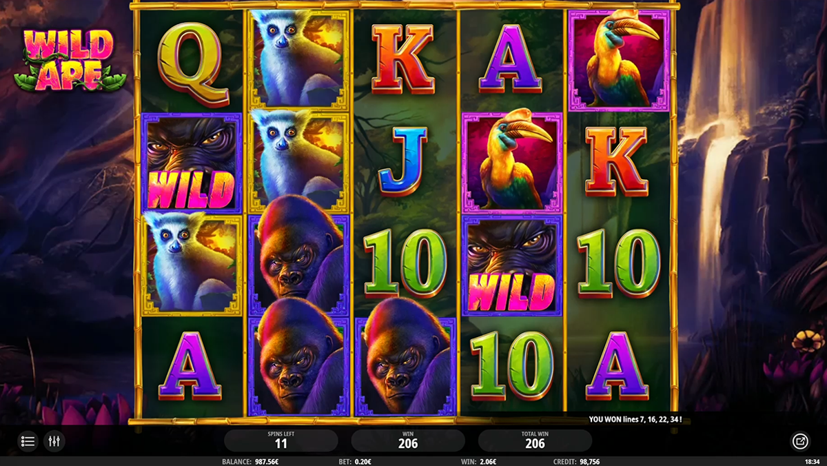 wild ape during bonus
