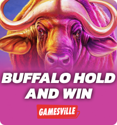 Buffalo Hold And Win