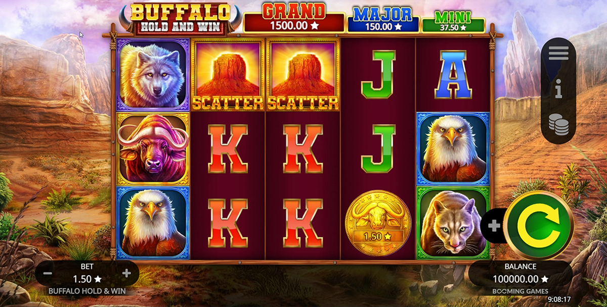 Buffalo Hold and Win slot games