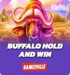 Buffalo Hold And Win
