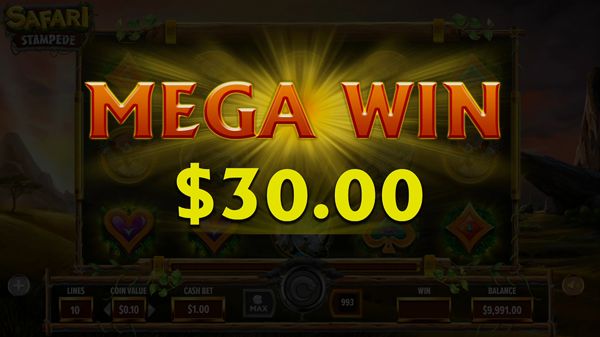 stampede safari bigwin