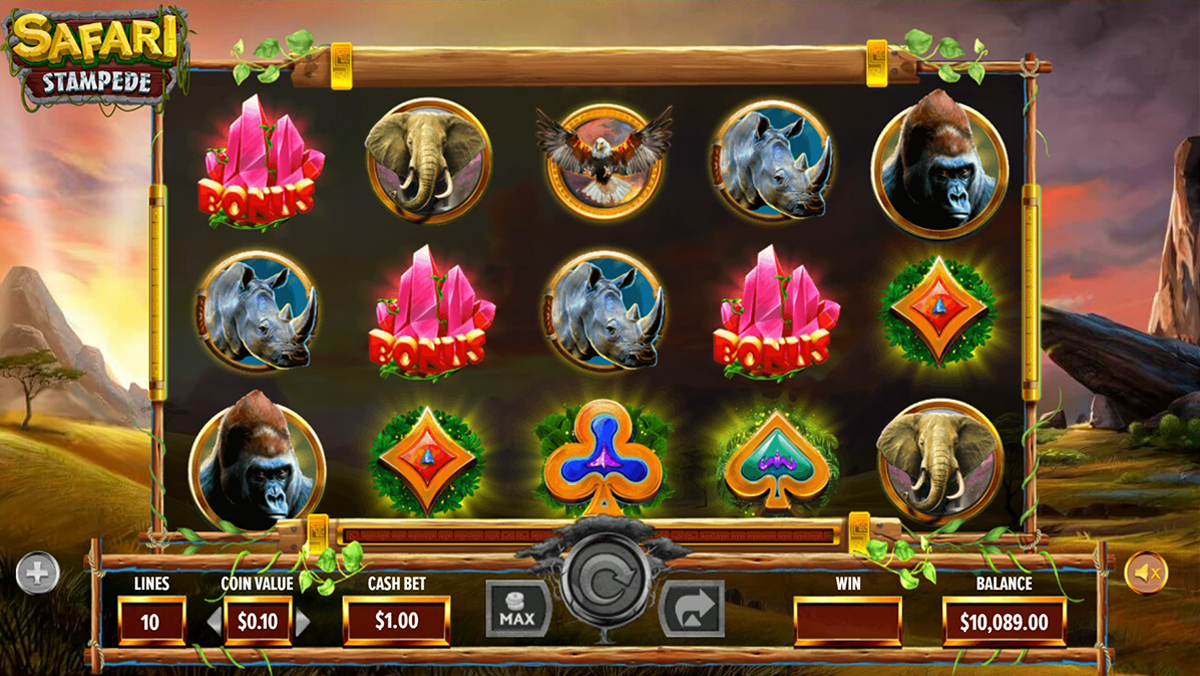 stampede safari bonus trigger