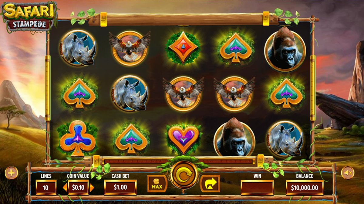 stampede safari