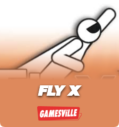 FlyX