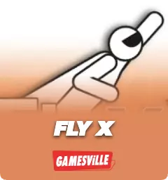 FlyX
