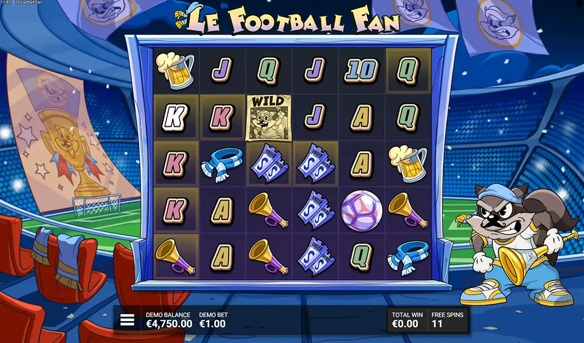le football fan during bonus